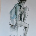 JULIA-17-12-12-IX-