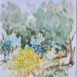 PORQUEROLLES-OLIVIERS-