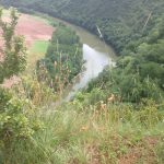 NEWS-2017-24-VIII-