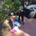 NEWS-2018-14-XIII-
